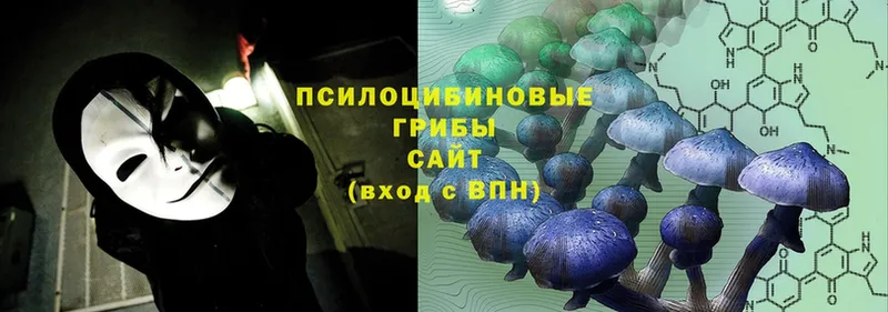 Псилоцибиновые грибы Psilocybe  где продают   Северодвинск 